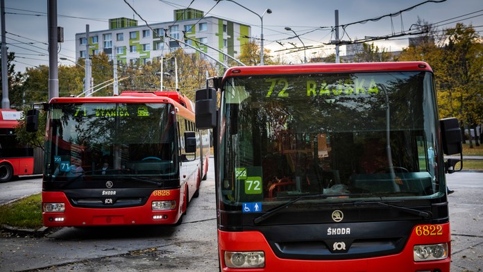 Turista neveril vlastným očiam. Spoje v Bratislave menia kvôli žabám