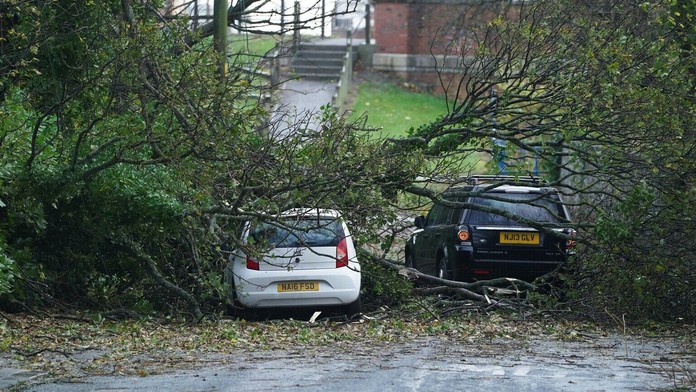 Padajúce stromy zničili aj mnohé autá.