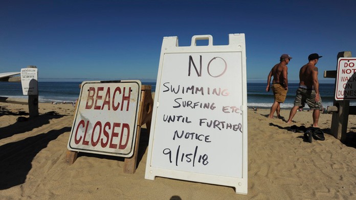 Útok žraloka na pláži Newcomb Hollow Beach. 