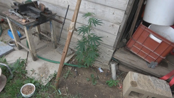 Razia v bratislavskej Devínskej Novej Vsi. 