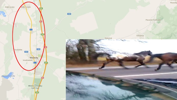 levare-malacky copy.jpg