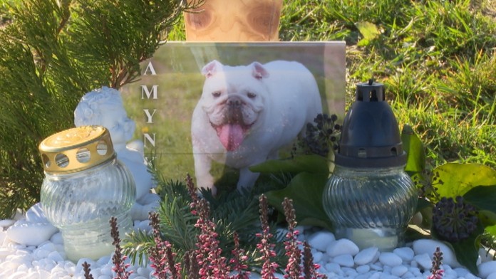 ZVIEracie cintorinzweb_jpg_bez_watermarku_1.jpg