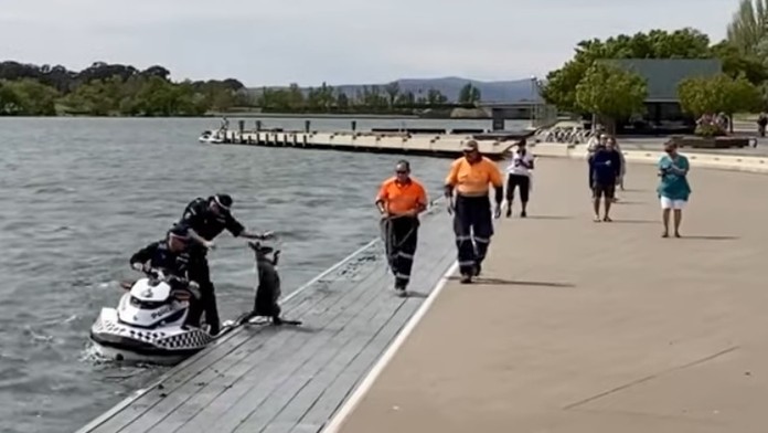 Rodina už dva roky nemôže dokončiť prístavbu domu