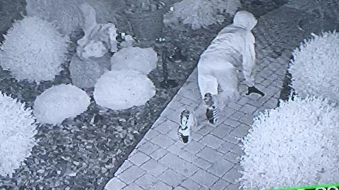 Zlodej, ktorý sa posral.