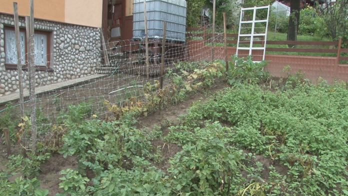 Veľa vody škodí úrode