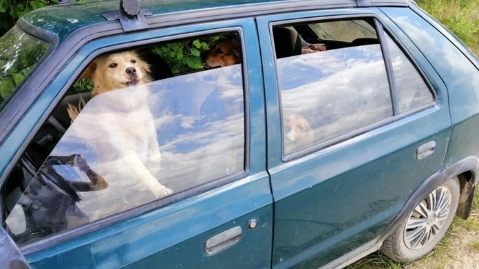 Výška materskej dávky.