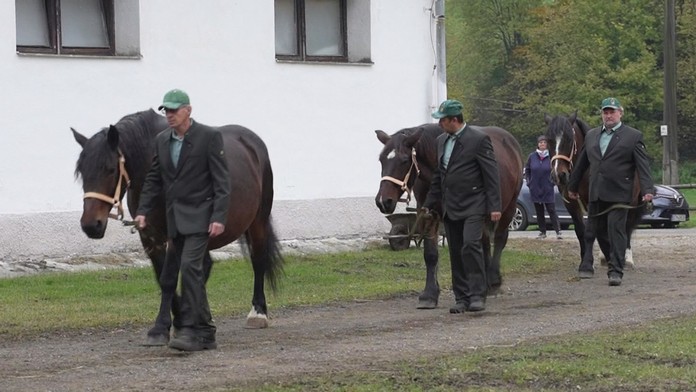 Hodnotenie koní v Dobšinej.