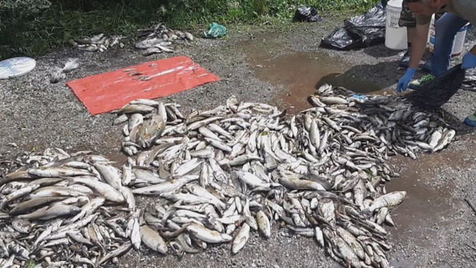 19_HECKO_VIDEO_tvnoviny.mp4