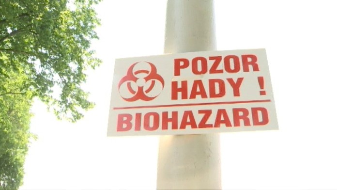 19 PP Vretenica nohavica.transferweb_jpg_bez_watermarku_1.jpg