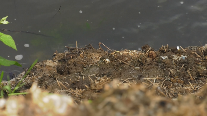 voda hydrant_tvnoviny.mp4