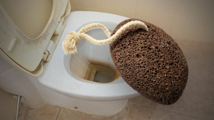 19_JAVOROVA_tvnoviny.mp4