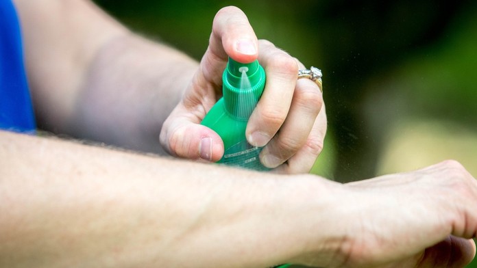 Päť overených tipov ako odplašiť komáre (ilustračná snímka)