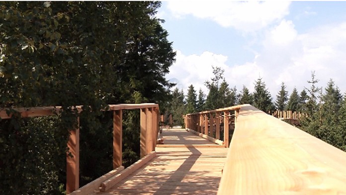 Chodník v stromoch.