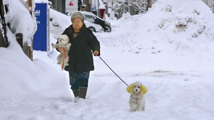 Farba roka 2018 bude Ultra Violet.