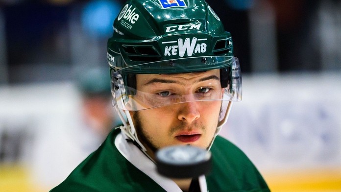 Libor Hudáček v drese švédskeho klubu Färjestad BK.