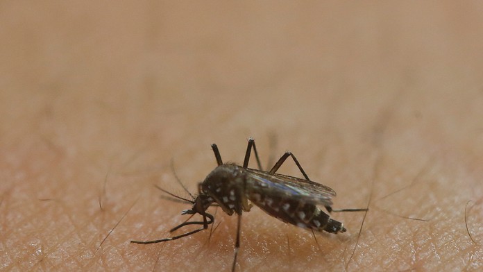 Ilustračná snímka.