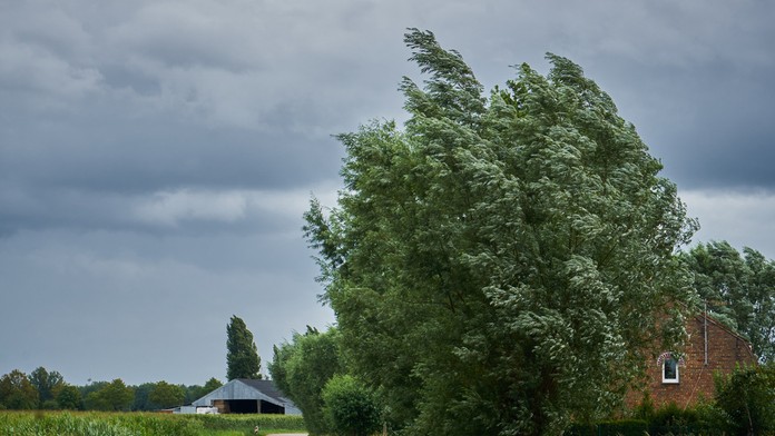 V štyroch okresoch hrozí extrémne silný vietor, SHMÚ vydal najvyšší stupeň výstrahy