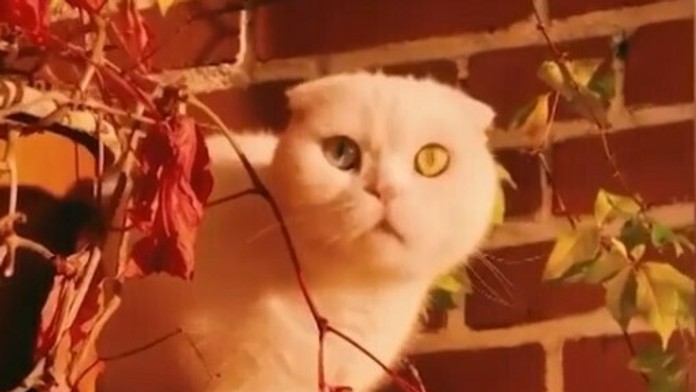 17 SK Karantena repatrianti.transfer_tvnoviny.mp4