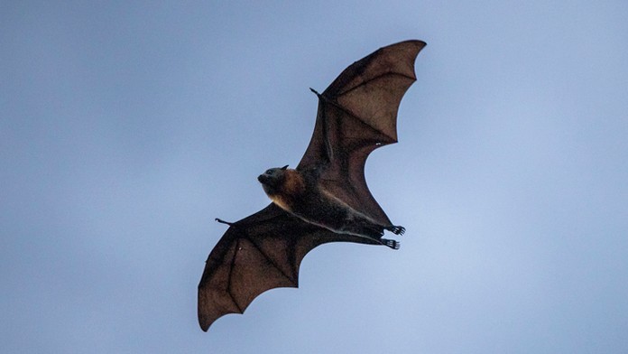 Ilustračná snímka.