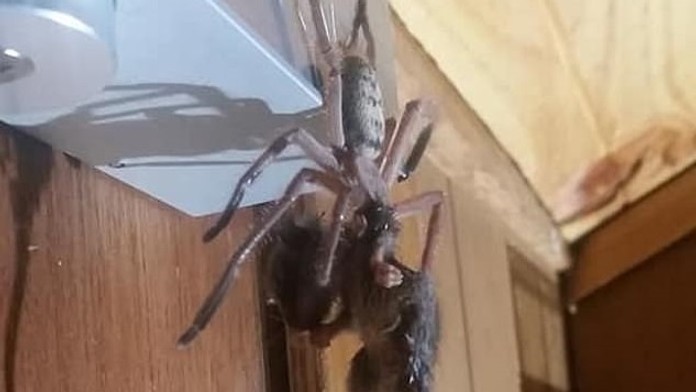 Ilustračná snímka.