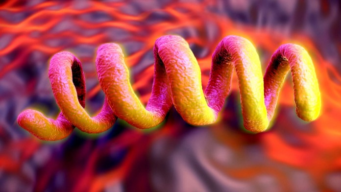 Syfilis - ilustračné foto.