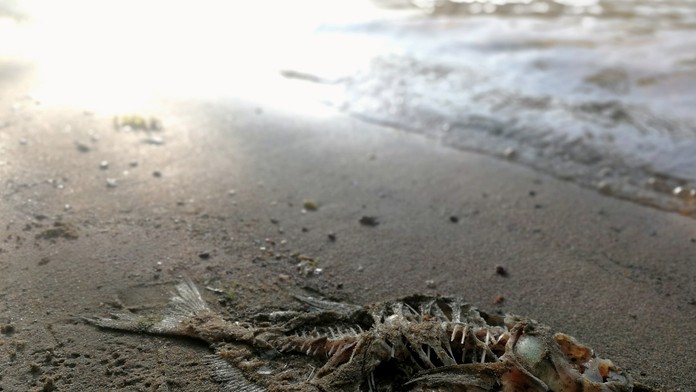 Ilustračná snímka