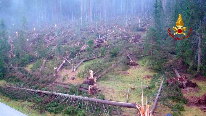 Na snímke spadnuté stromy ležia v lese po silných búrkach a daždi neďaleko talianskeho Belluna.