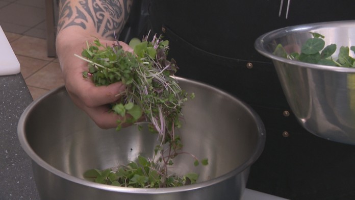 Nie je vždy to väčšie aj lepšie. Mikro zelenina či bylinky obsahujú väčšiu dávku vitamínov