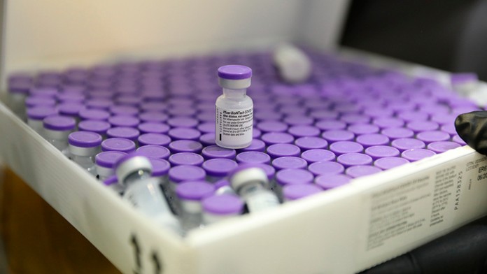 Ampulky s vakcínami od konzorcia Pfizer-BioNtech.