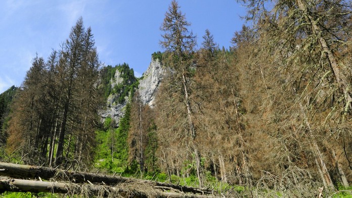 Ilustrašná snímka