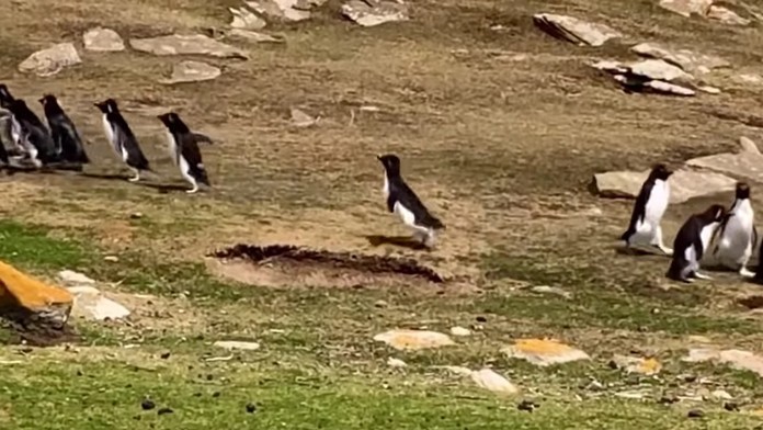 GZRFFQILWBQN-high_1080p.mp4