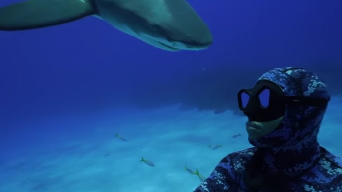 Michael Dornellas so žralokom.