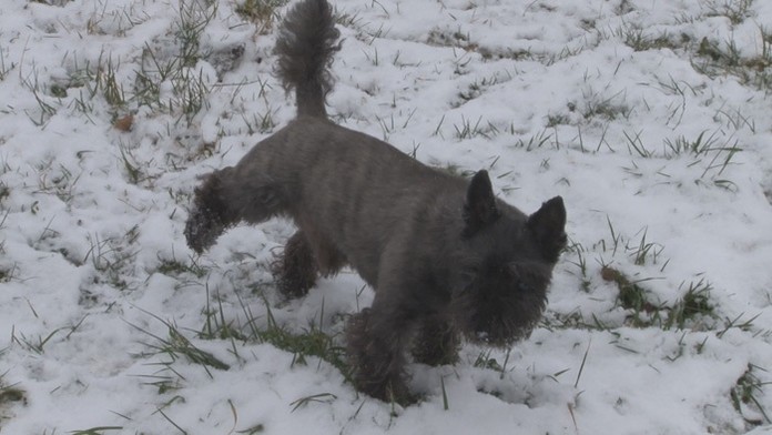 Skauti s betlehemským svetlom na Lomnickom štíte.