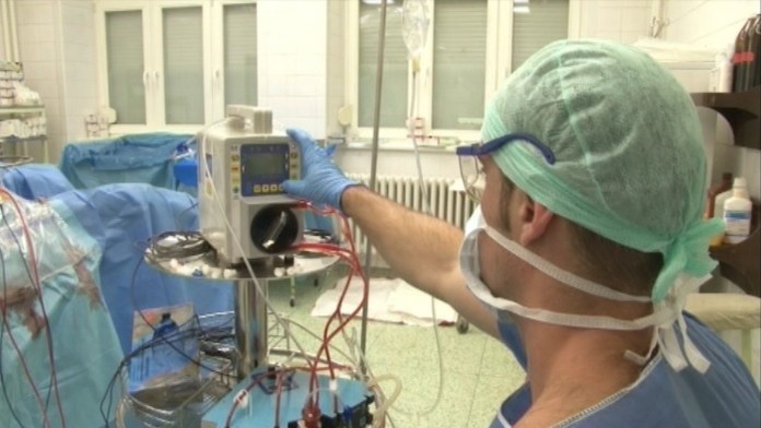 Prečo dávame úplatky lekárom