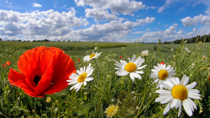 Ilustračná snímka.