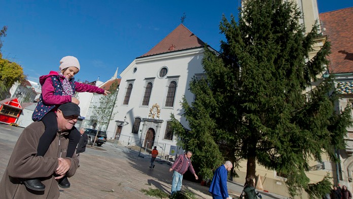 Vianočný stromček na Hlavnom námestí v Bratislave.