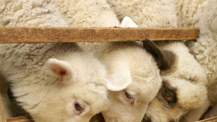 Ilustračná snímka.