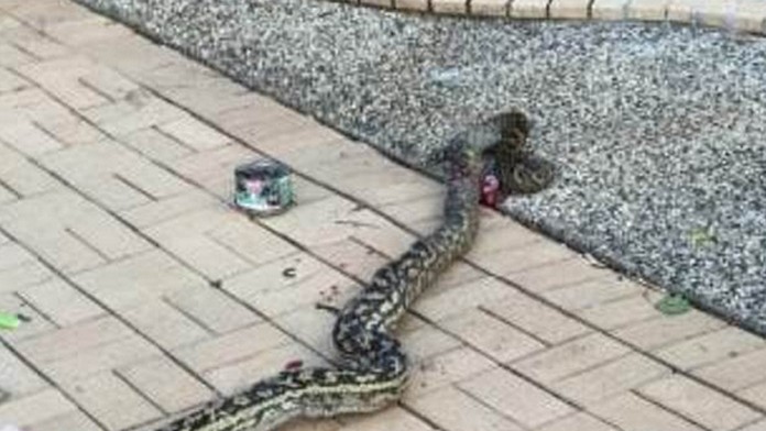 Andruskóa priviezli za prísnych bezpečnostných opatrení na súd v Pezinku.