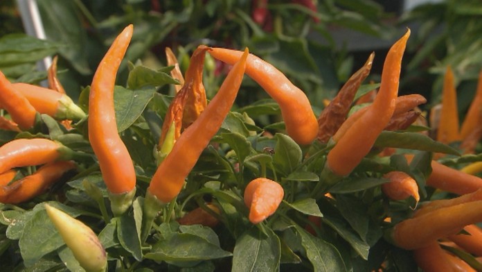 Ilustračná snímka.