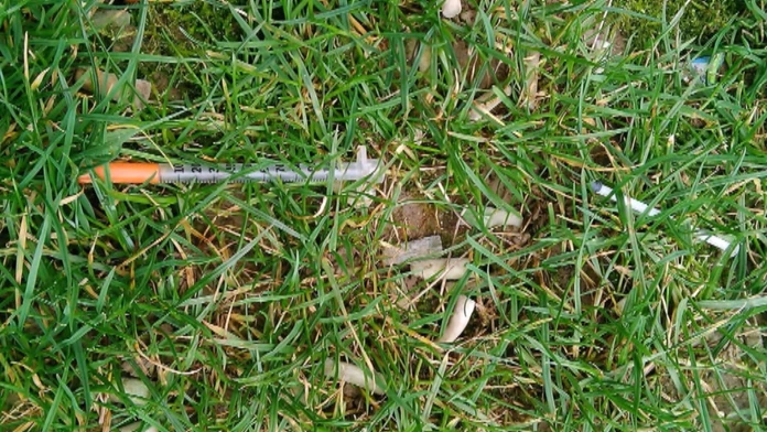 INJEKCNAweb_jpg_bez_watermarku_1.jpg