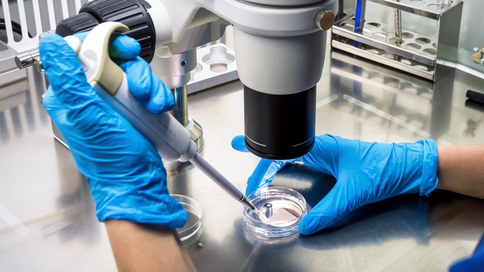 Nespôsobuje rakovinu, no významne pomáha jej šíreniu. Vedci opísali mechanizmus, ako stres pomáha šíreniu metastáz