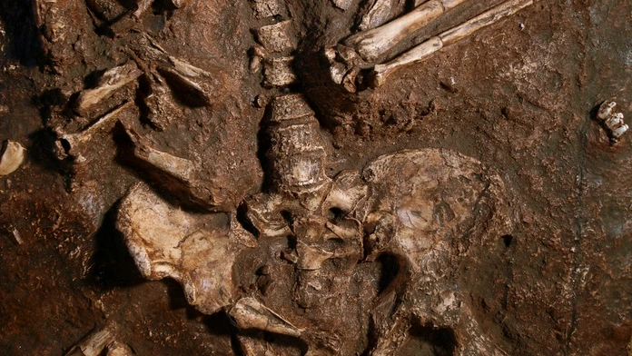 Moderné ženy majú jednu časť tela rovnakú ako neandertálci. U mužov sa evolúcia vydala iným smerom