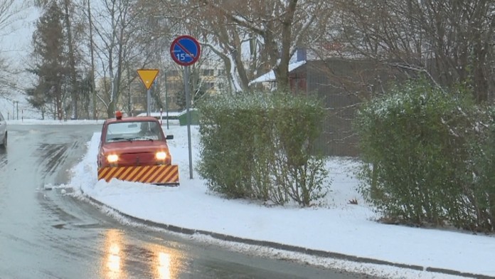 Strážne prasiatko.