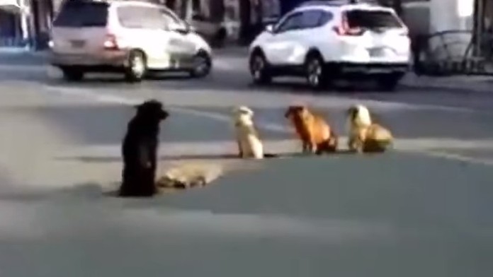 Richard Stanke a Monika Hilmerová