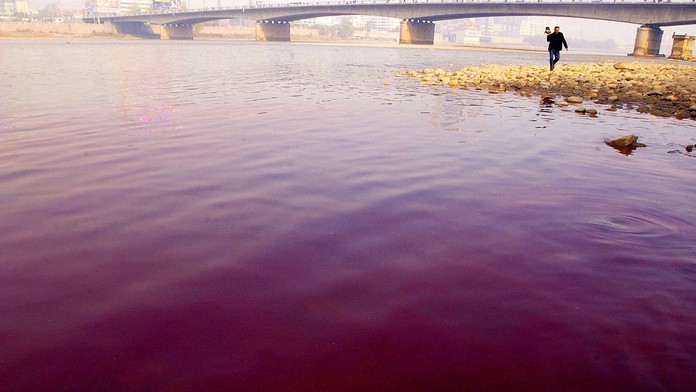 Austrálske úrady riešia záhadu: Voda v prístave v Sydney sa zafarbila do krvavočervena