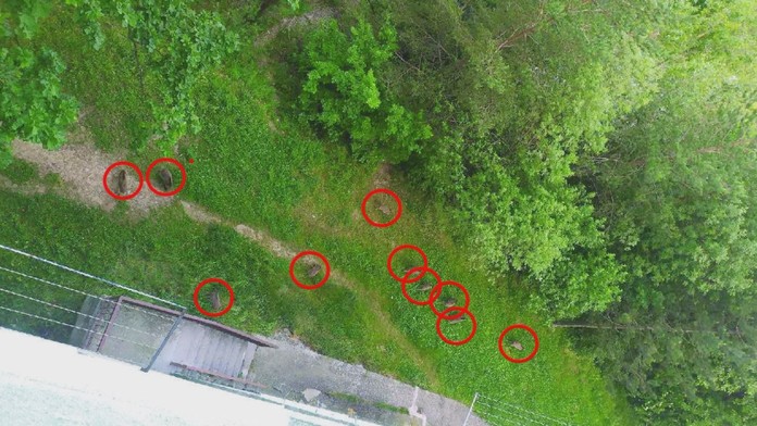 V Považskej Bystrici zahájili odstrel diviakov.