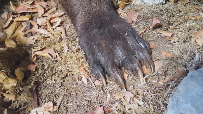 Ilustračná snímka