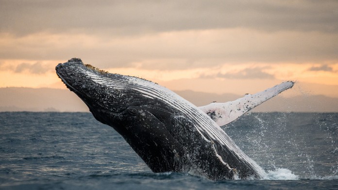 Ilustračná snímka.