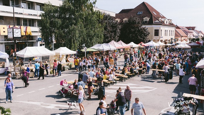 Muž-šesťdesiatnik napriek ošetreniu podľahol rozsiahlym zraneniam nôh, ktoré mu spôsobil žralok.