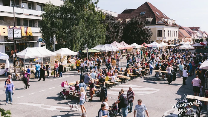 Muž-šesťdesiatnik napriek ošetreniu podľahol rozsiahlym zraneniam nôh, ktoré mu spôsobil žralok.